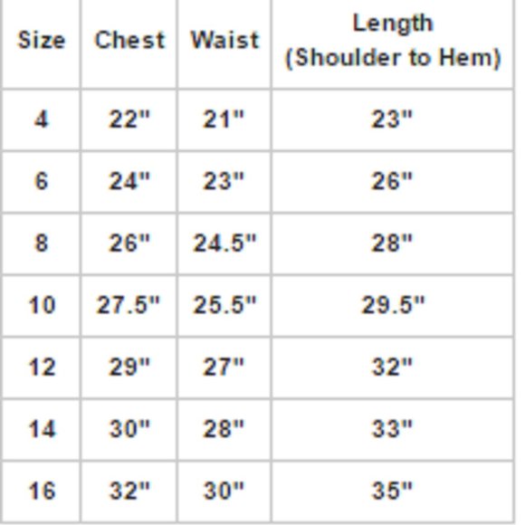 Big Girls Lace Overlaid Rhinestones Junior Bridesmaid Flower Girl Dress  Silver - Picture 4 of 6